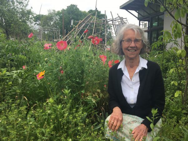 Conversations with Co Founder Brenda Brodie SEEDS